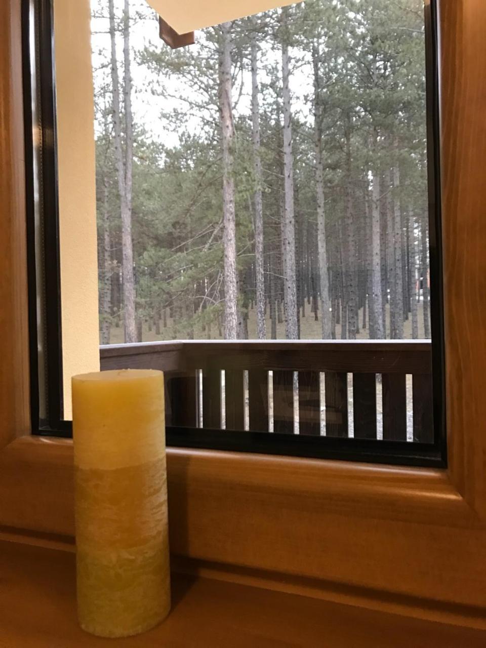 Zlatibor Apartmani Jakovljevic エクステリア 写真