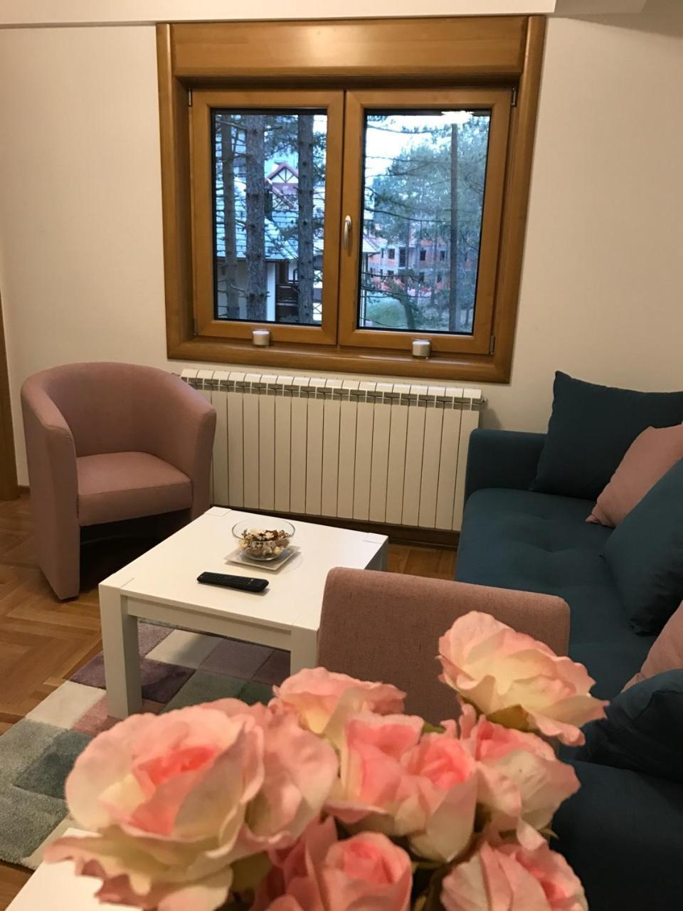 Zlatibor Apartmani Jakovljevic エクステリア 写真