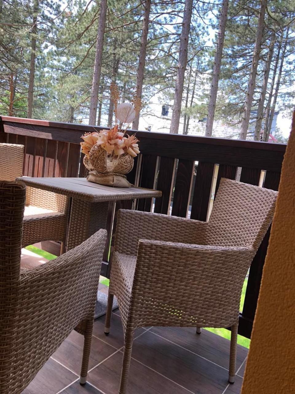 Zlatibor Apartmani Jakovljevic エクステリア 写真